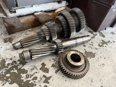 TR20